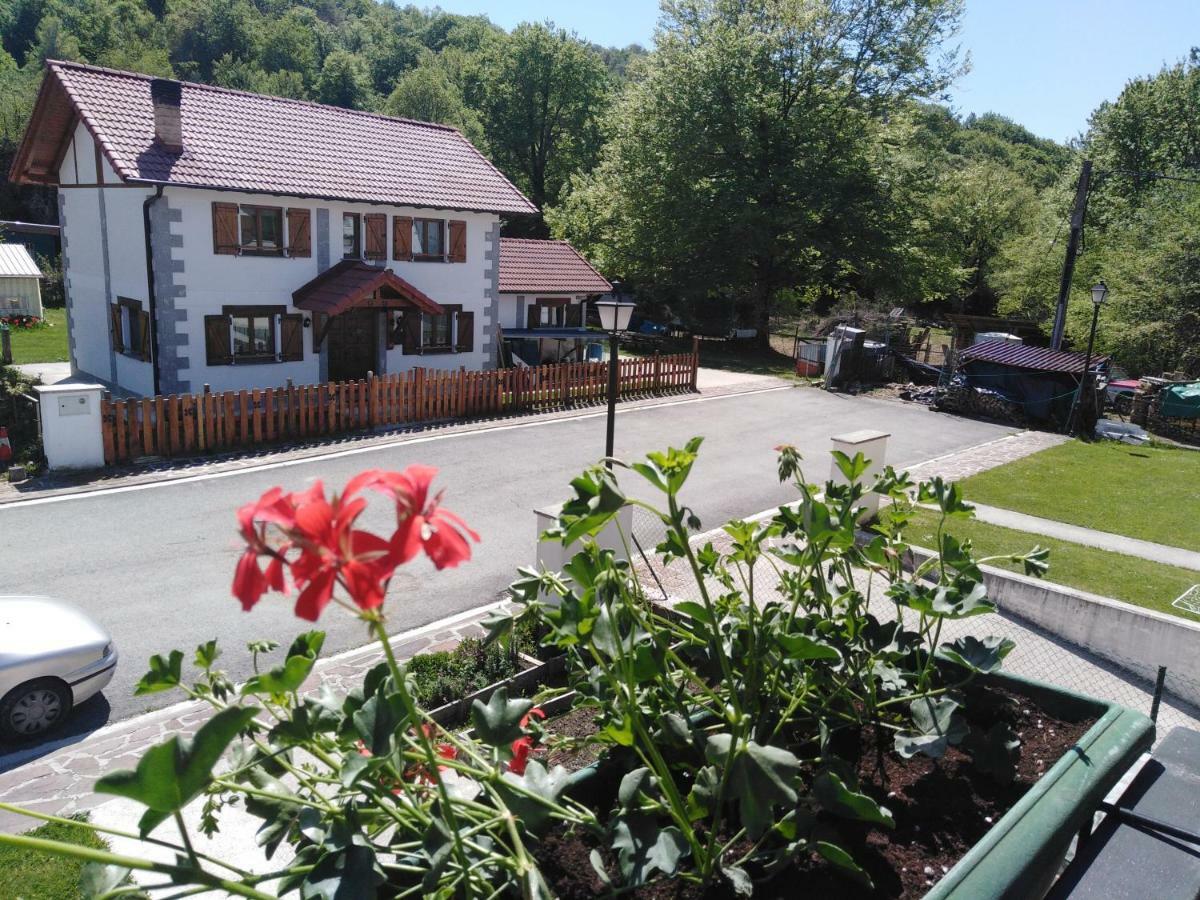 Casa Rural Irugoienea Espinal-Auzperri Luaran gambar